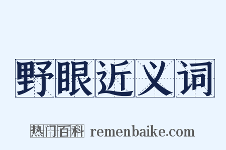 野眼近义词是什么意思的图片